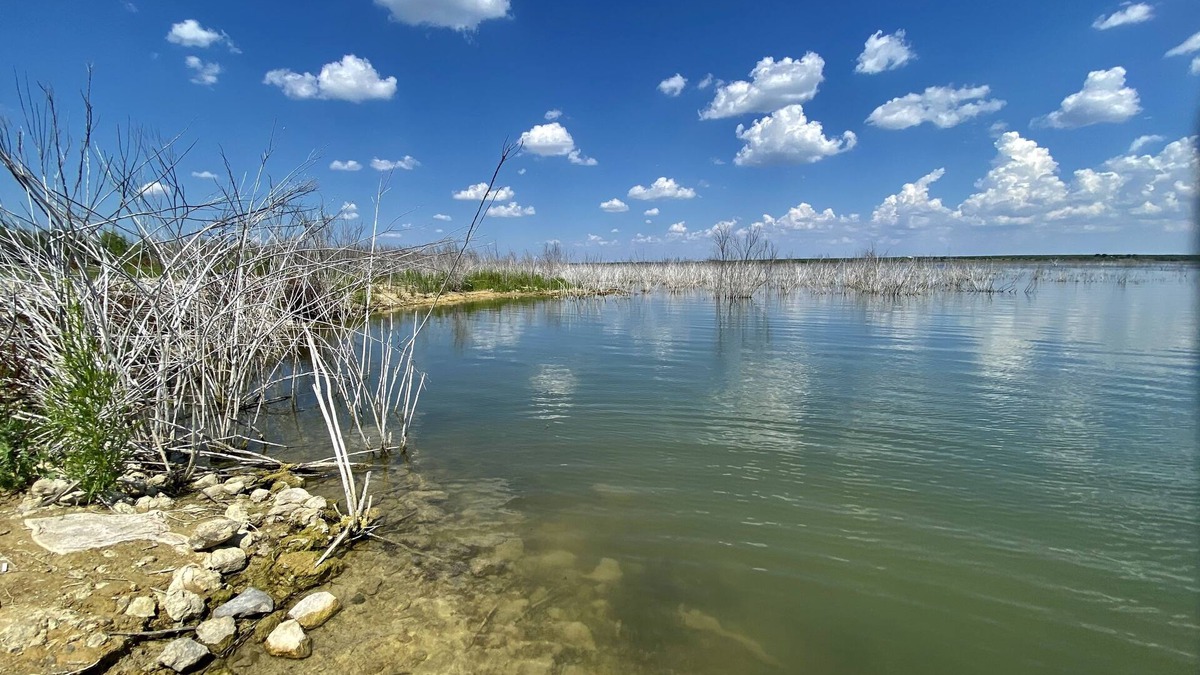 Millersview House | Chaparral de Lago 2