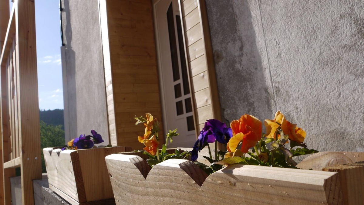 Vagney Other | Character cottage in the heart of the Hautes Vosges *