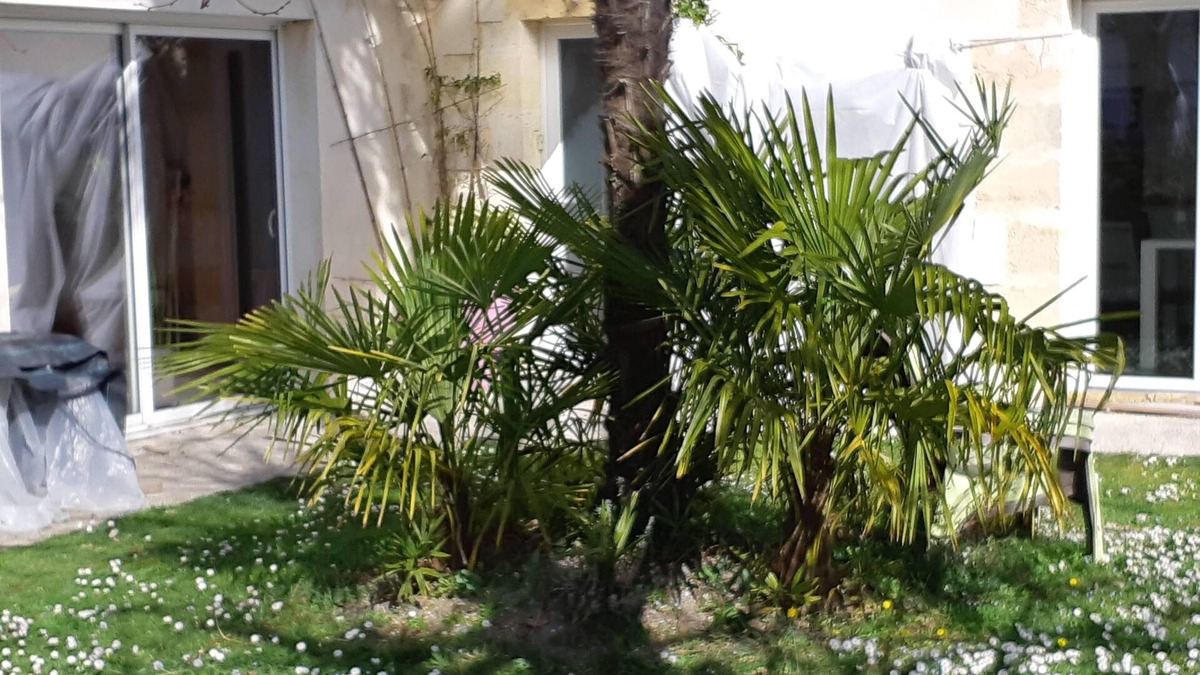 Blaye House | Character house, 3 bedrooms, 3 bathrooms, large living room, wood burning stove
