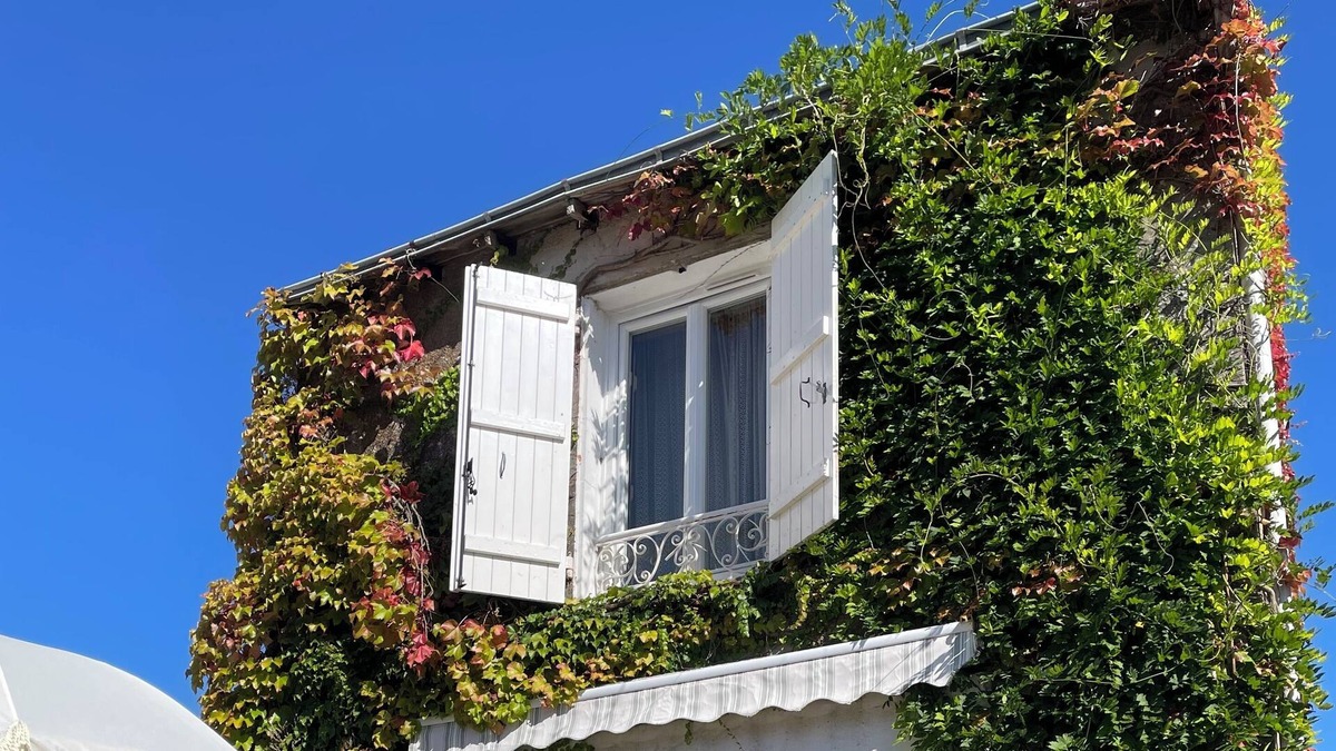 Millac Villa | Character house in the beautiful Vienne region