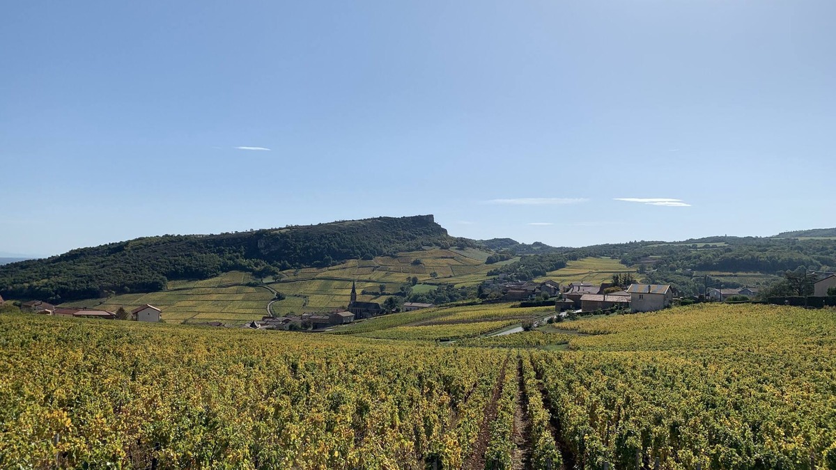 Vergisson House | Character house with view surrounded by vineyards