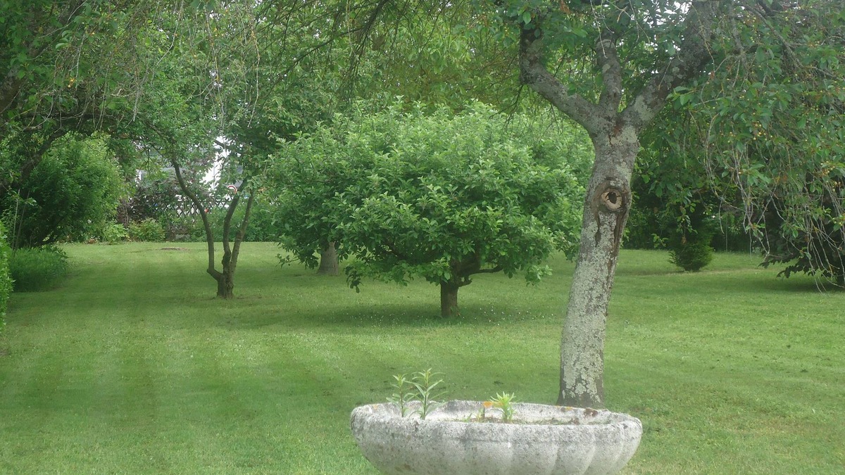 Pernay House | Characterful country house in a village of 1200 inhabitants.