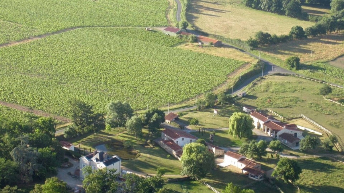 Oree d'Anjou House | Charm and comfort in the middle of the vineyards