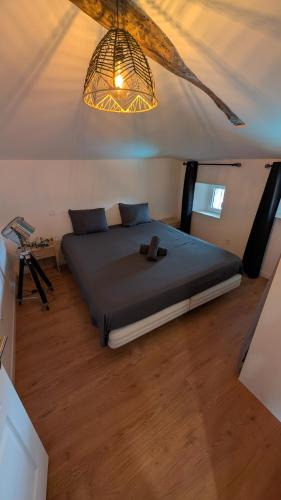 Lisle-sur-Tarn Apartment | Charmant T2 tout confort, à deux pas du centre
