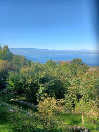 Evian-les-Bains Apartment | Charmante location Hauts d'Evian