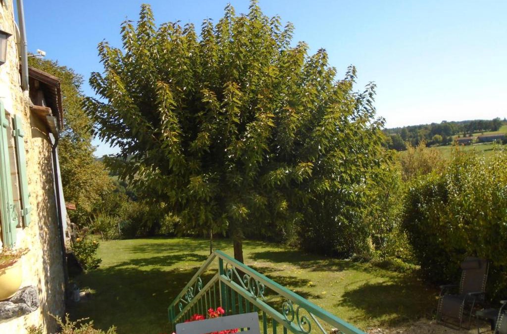 Monpazier House | Charmante maison avec WiFi, parking privé, jardin et ping-pong à Monpazier - FR-1-616-173