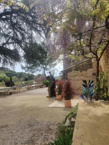 Lourmarin House | Charme et authenticité dans une ferme.