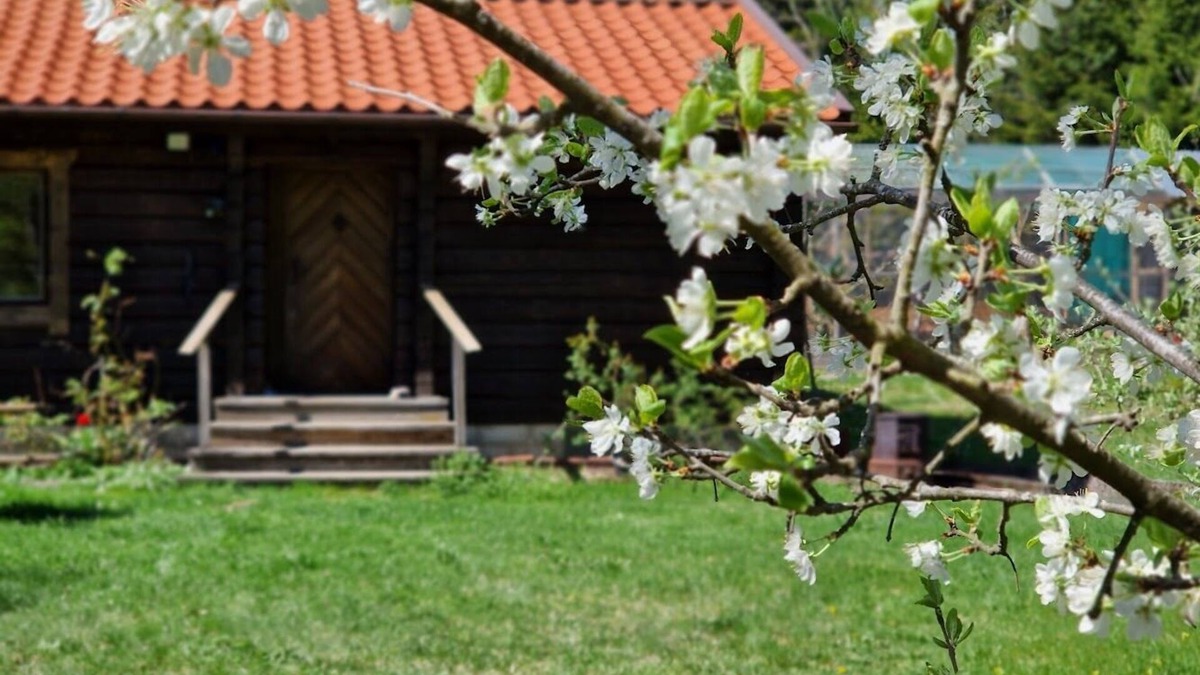 Upplands Vasby Municipality Cabin | Charmig Stuga Mitt i Naturen!