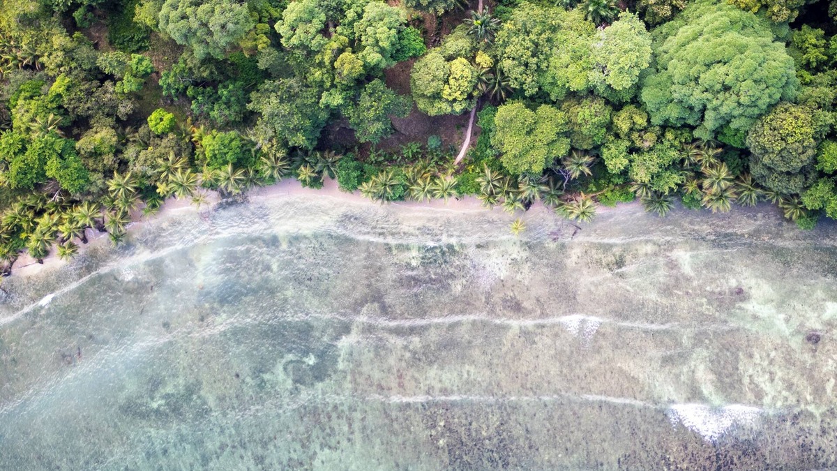 Carenero Island House | Charming bungalow in tranquil Bocas del Toro. Perfect spot for surf and relax.