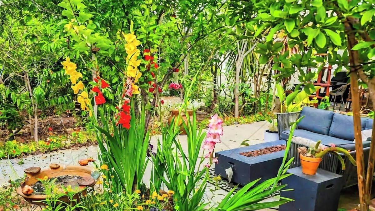 National City House | Charming 1 bedroom orchard retreat 5 miles from downtown San Diego