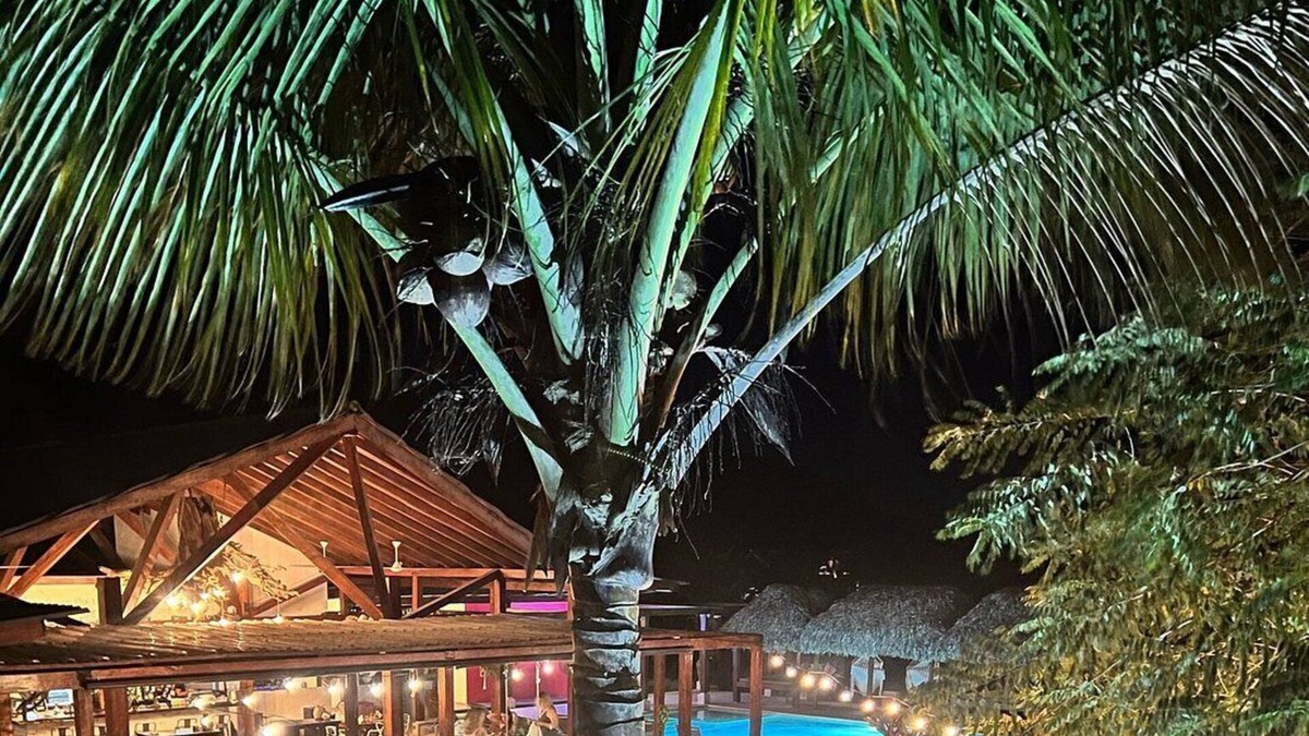 Lagartero House | Charming 1-Bedroom Beachfront Hotel With Pool