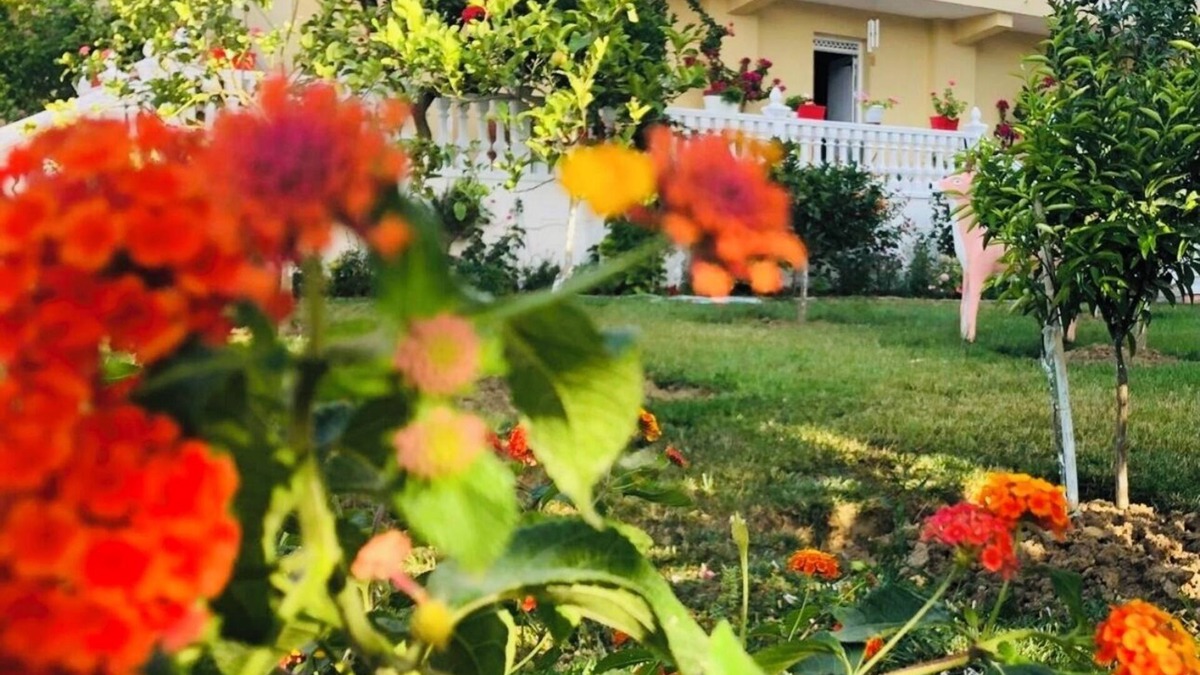 Vlore Cottage | Charming 1-bedroom cottage in delightful Vlora,