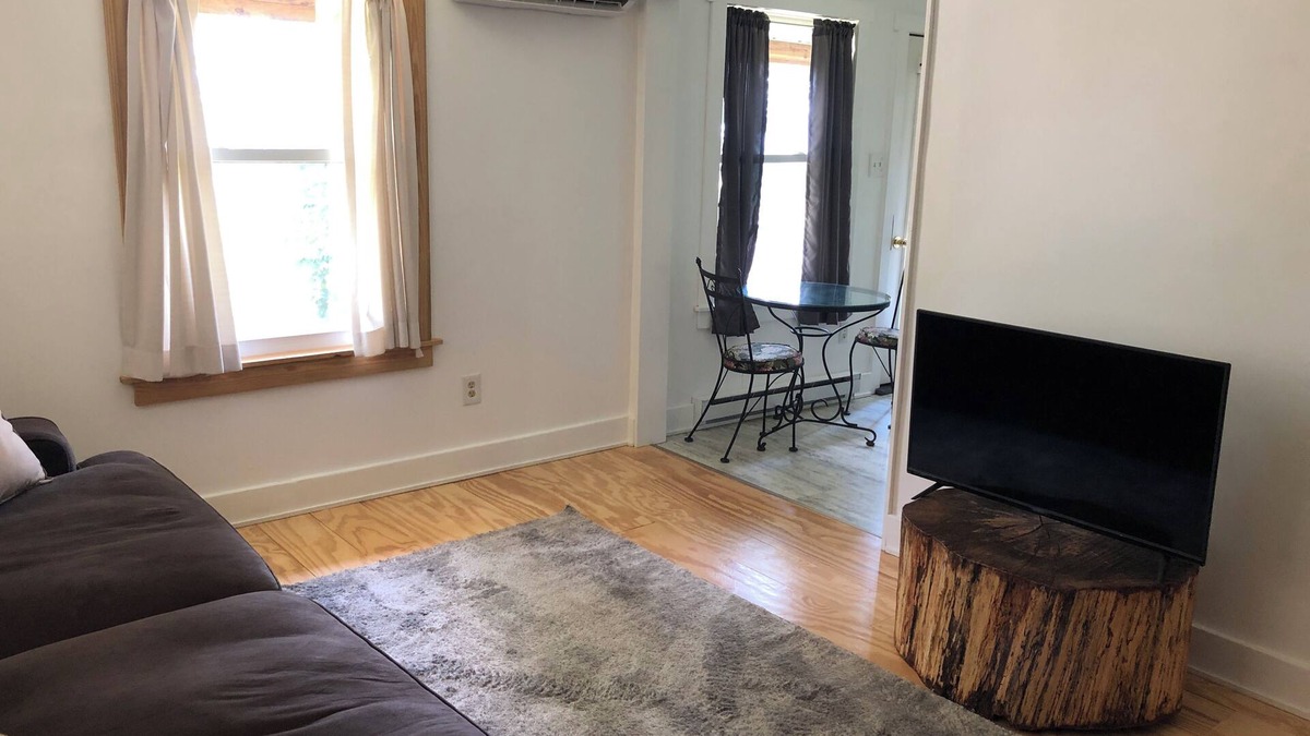 Nitro Apartment | Charming 1 bedroom near Charleston hospitals