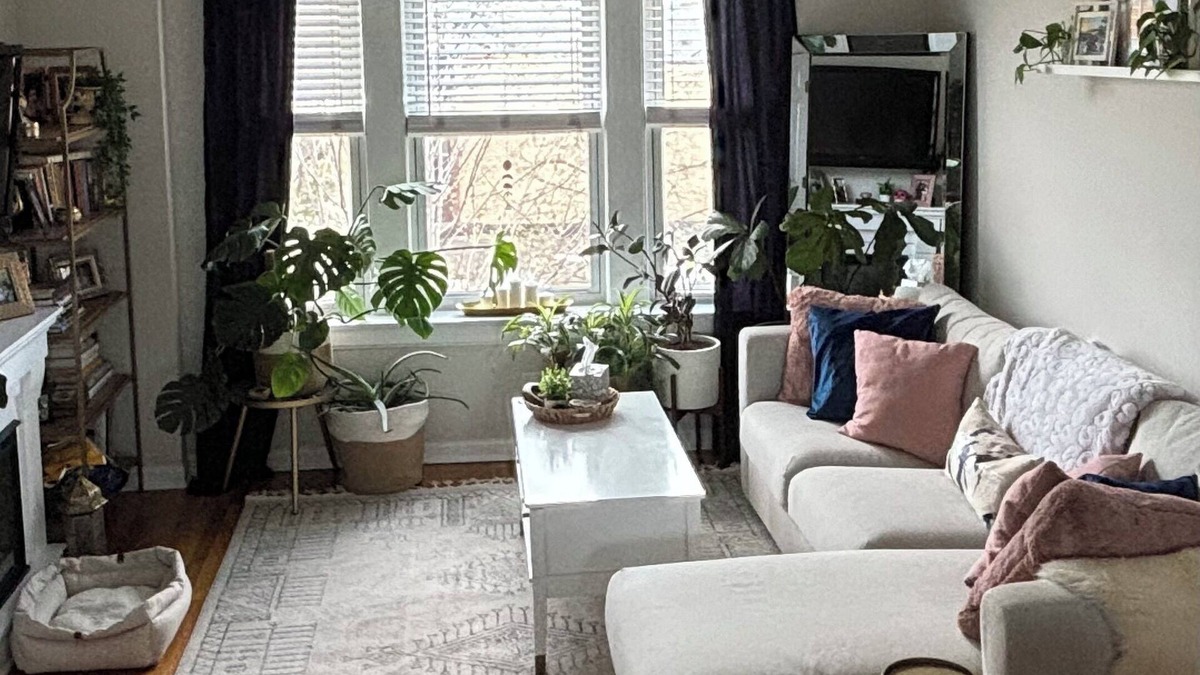 East Albany Park Apartment | Charming 2-bedroom 2 bath apartment flooded with natural light