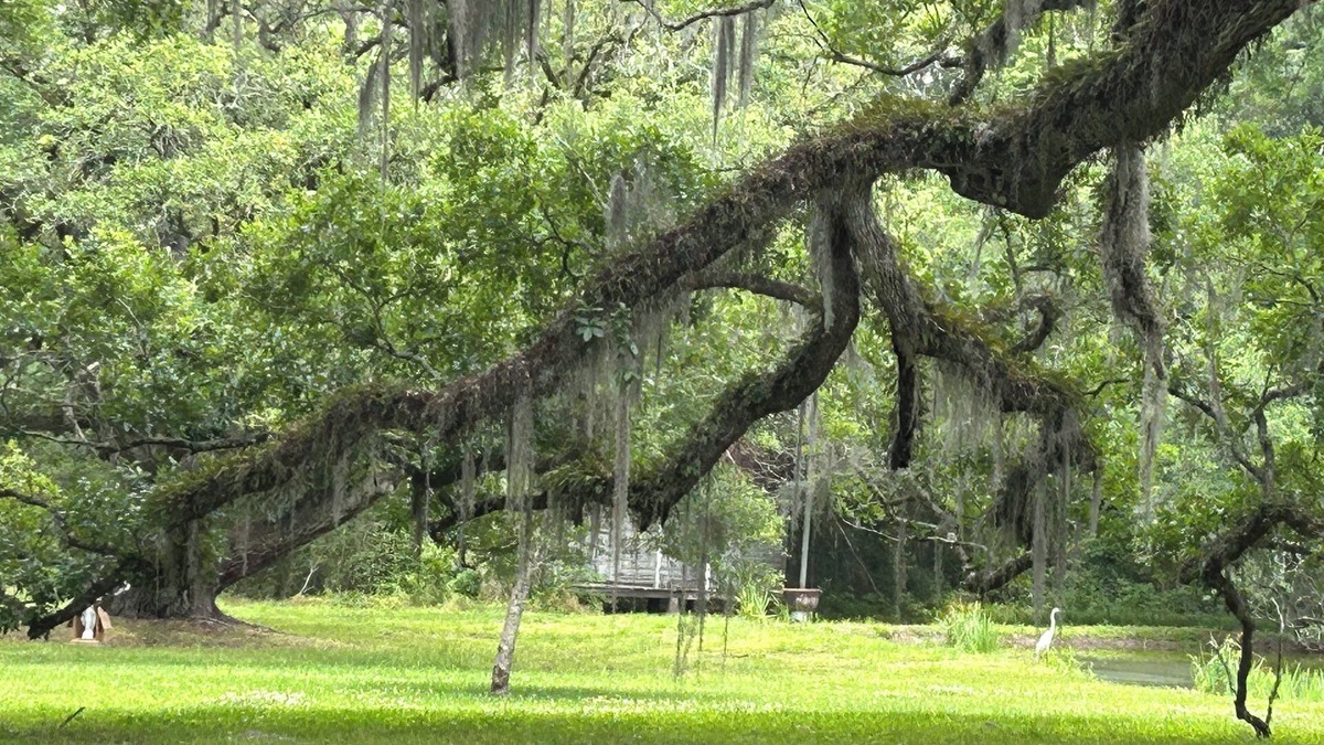 Jeanerette Cottage | Charming 2-bedroom cottage on the bayou Teche in Jeanerette with AC, WiFi