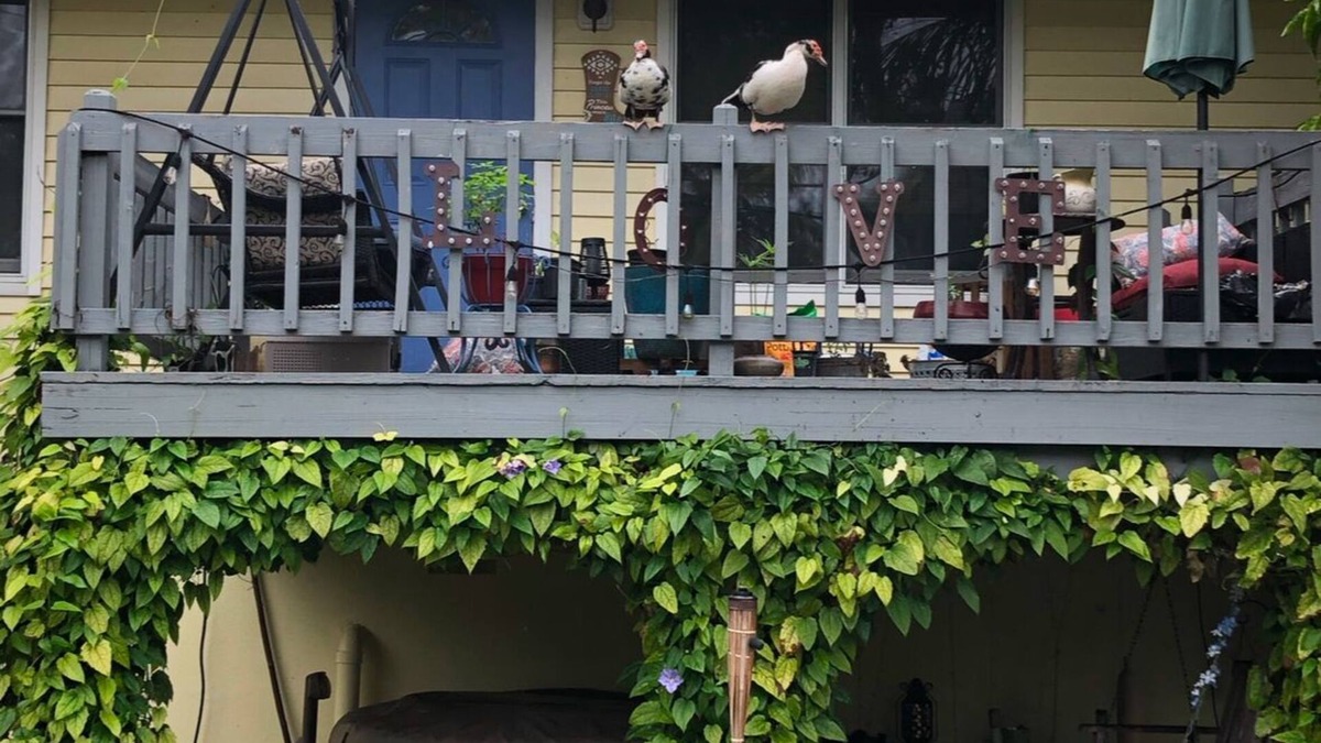 Jupiter Farms Other | Charming 2-bedroom farmhouse in brilliant Jupiter with AC, WiFi,Hot tub,
