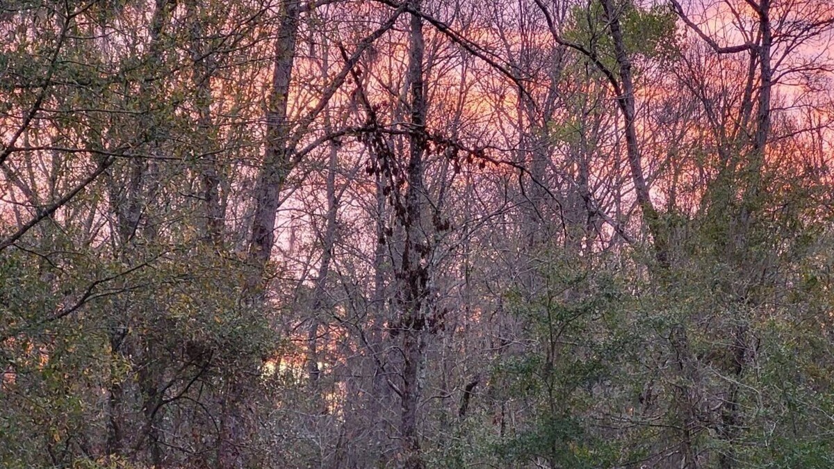 Ruffin House | Charming 2-bedroom home on peaceful bluff overlooking the Edisto River.