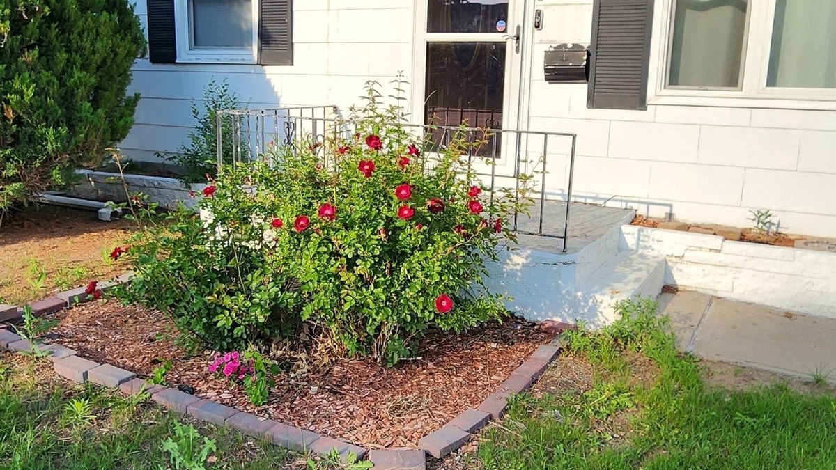Scottsbluff House | Charming 2-bedroom house in superb Scottsbluff with WiFi, AC