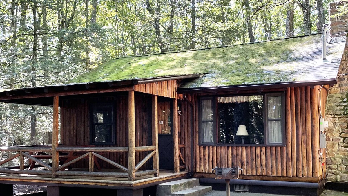 Reeders Cabin | Charming 2 BR Log Cabin in the Poconos