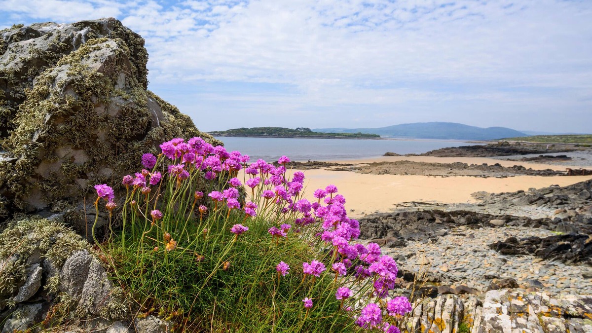 Twynholm House | Charming 200 year old Galloway cottage near Kirkcudbright