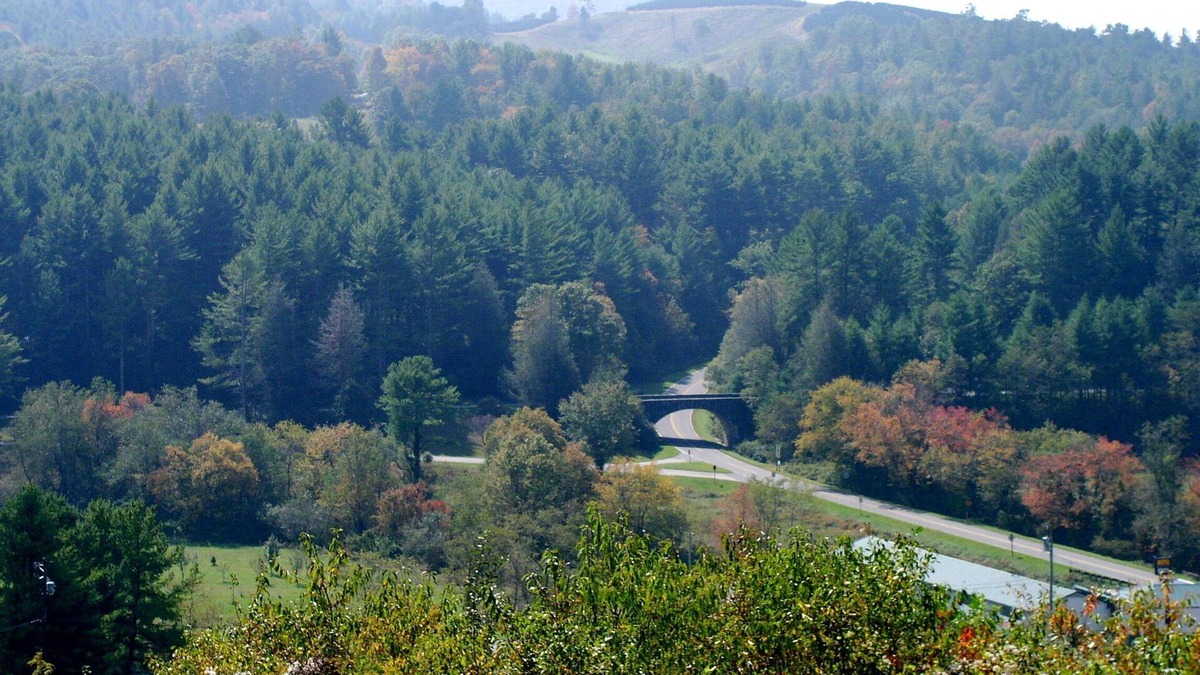 Laurel Springs House | Charming 3-bedroom home in Laurel Springs with view over the Blue Ridge Parkway