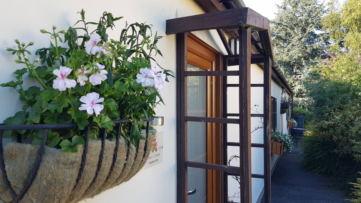Westmarsh Cottage | Charming 3 bedroom holiday cottage at Hawthorn Farm, Kent