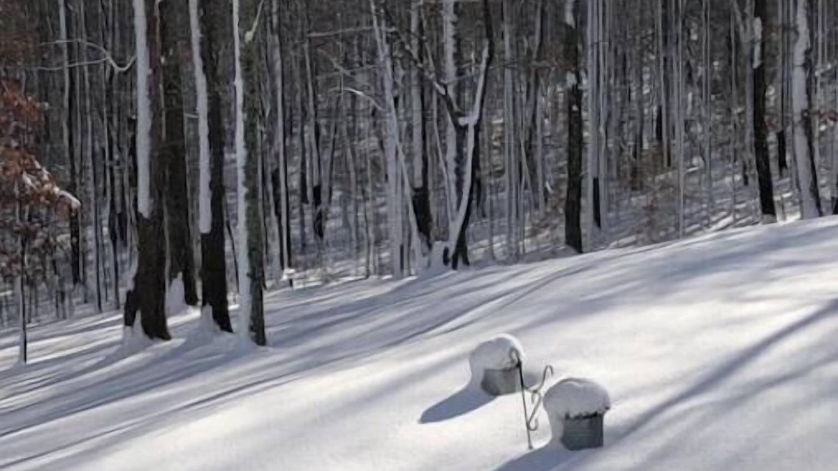 Piney Mountain House | Charming 3-bedroom house with WiFi and AC in historic Appomattox