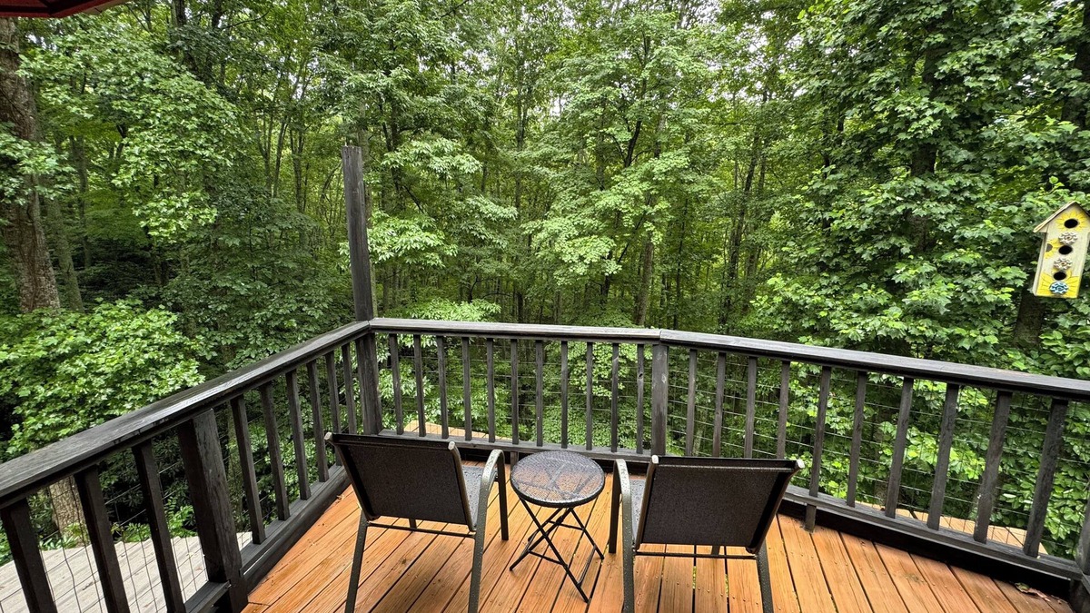 Swannanoa House | Charming 3-bedroom house with AC and WiFi in fabulous Swannanoa