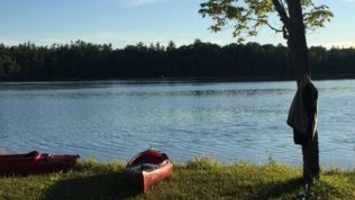 Fife Lake Cabin | Charming 3 bedroom log cabin on Pickerel Lake in Fife Lake, MI + a guest house