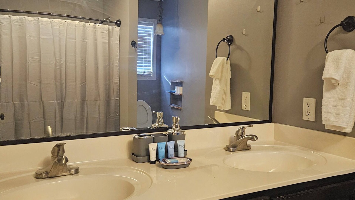 Vinemont House | Charming 3bd/2ba House on large lot,
