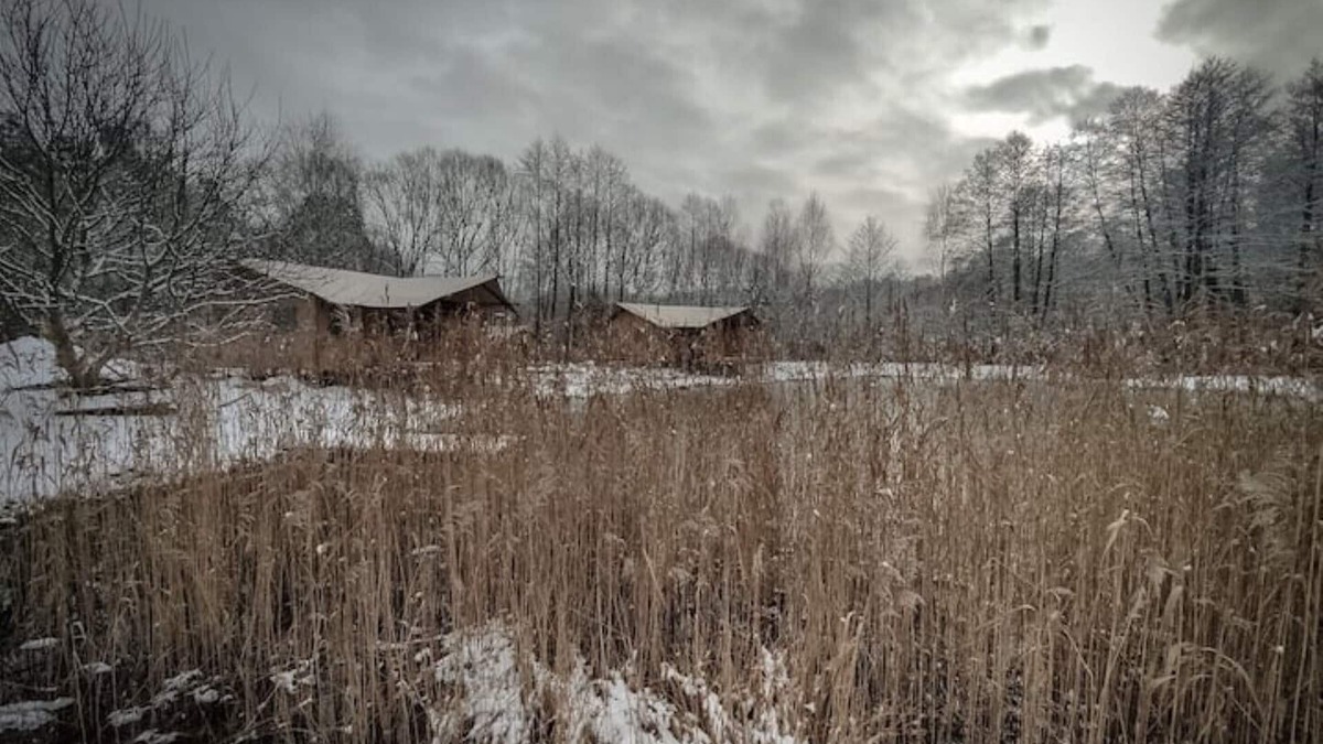 Lubusz Province Ski Chalet | Charming . A Cottage in the Middle of the Woods