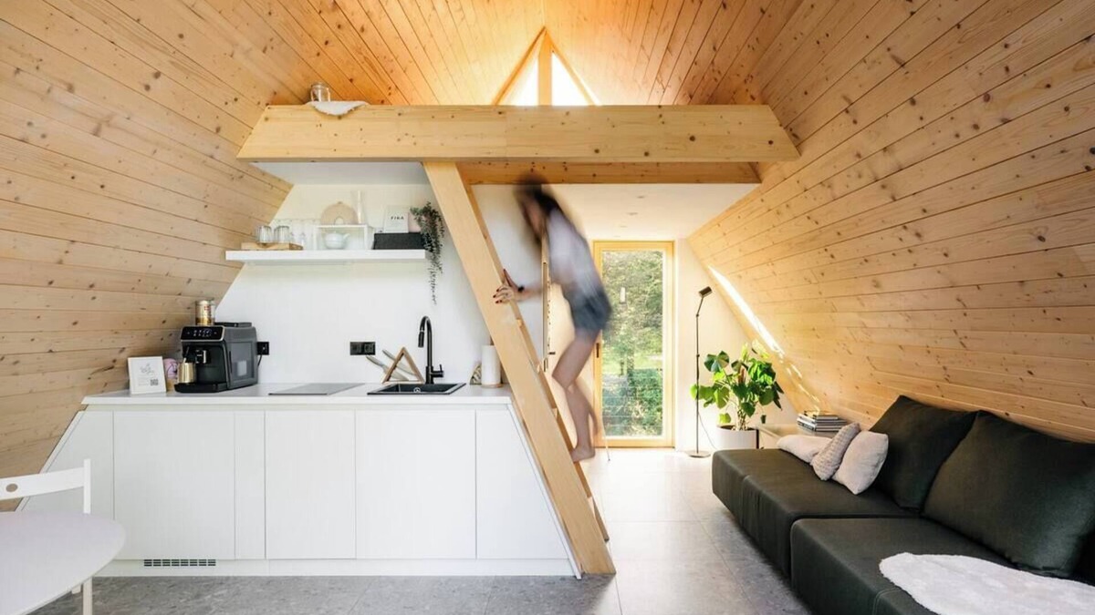 Senturska Gora Cabin | Charming A-Frame in the forest
