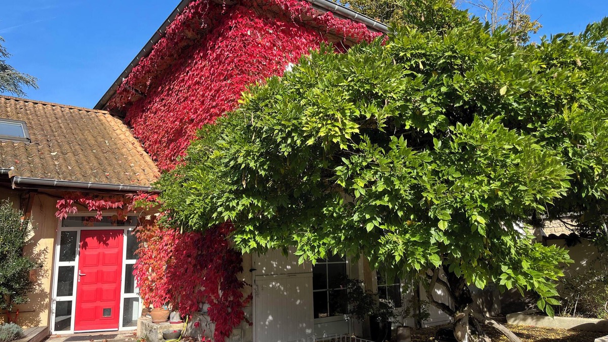 Nivolas-Vermelle House | Charming accommodation with spa 🏡 🧘♂️🌿 And electric charging station 🚗