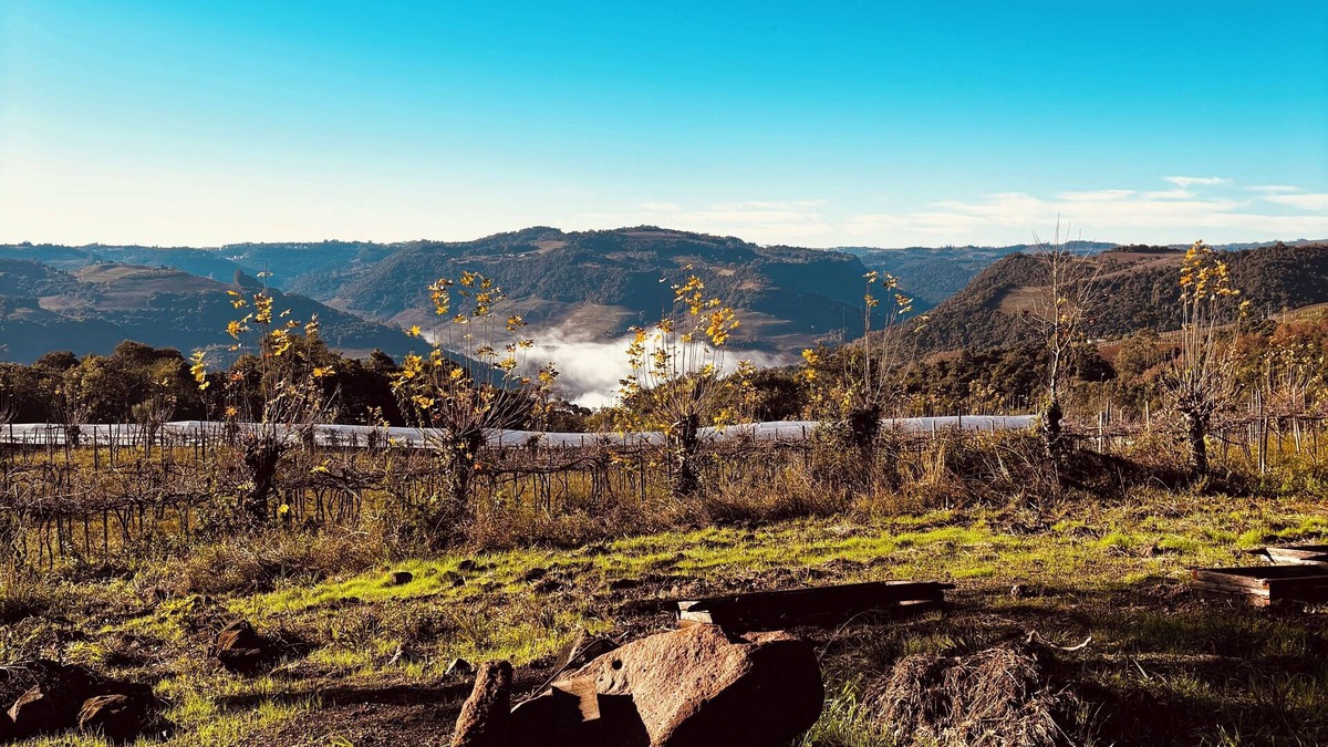 Monte Belo do Sul Cottage | Charming and sustainable cottage in fabulous Monte Belo do Sul, RS.