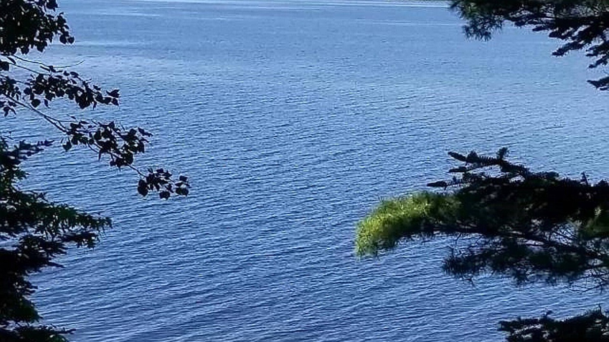 Lac du Flambeau Cottage | Charming and Cozy, 3-Season, Fence Lake Cottage with Beautiful Sunset View