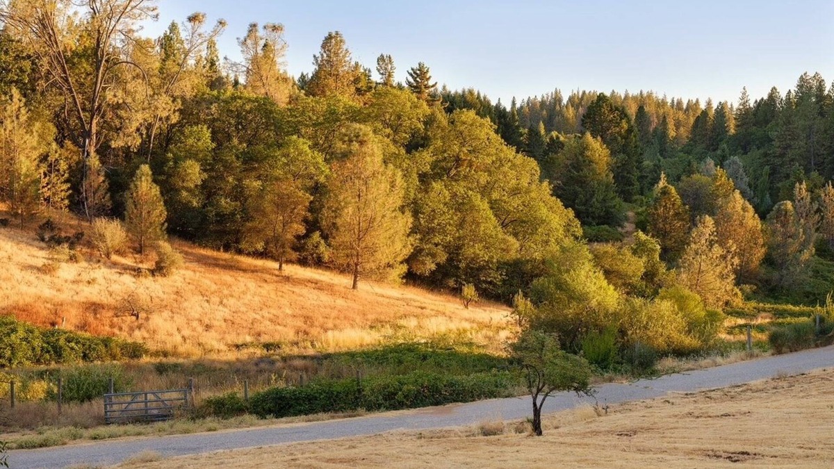 Colfax Apartment | Charming and Peaceful apartment on Historical Ranch Retreat with WiFi in Colfax