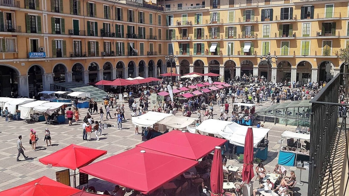 Marques de Fontsanta Apartment | Charming Apartment in the Plaza Mayor of Palma