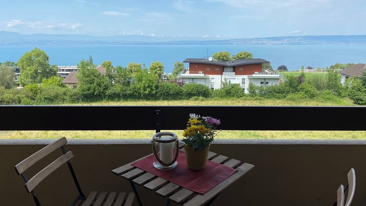 Evian-les-Bains Apartment | Charming apartment with exceptional view