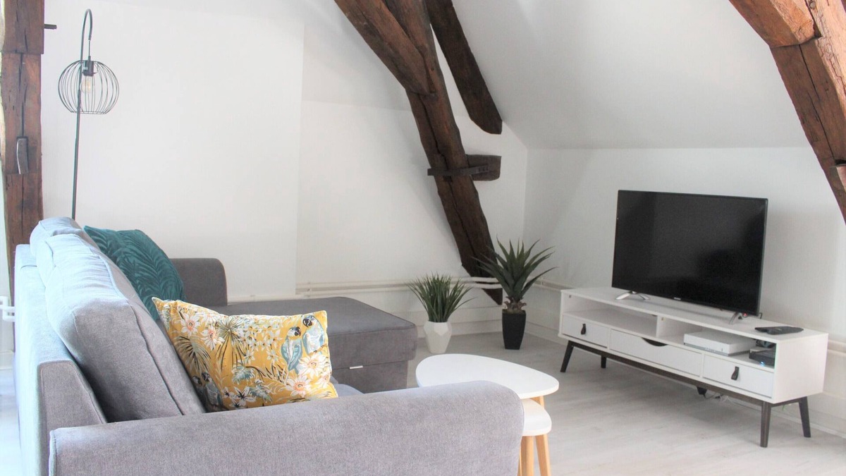 Auxerre Apartment | Charming apartment in the heart of Auxerre