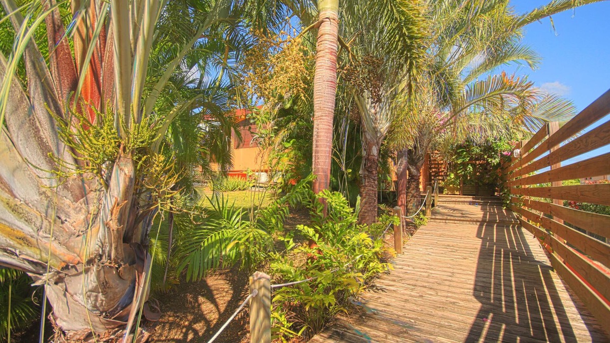 Sainte-Anne Apartment | Charming apartment in villa near the beach