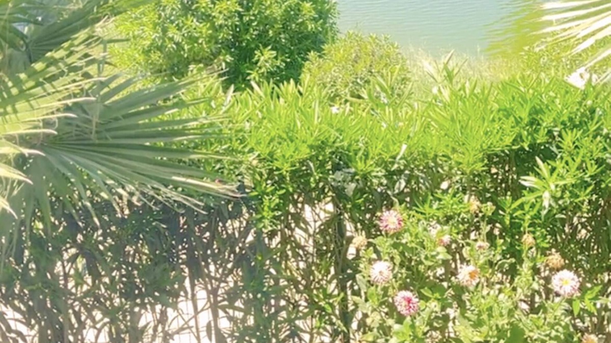 Asilah Apartment | Charming apartment