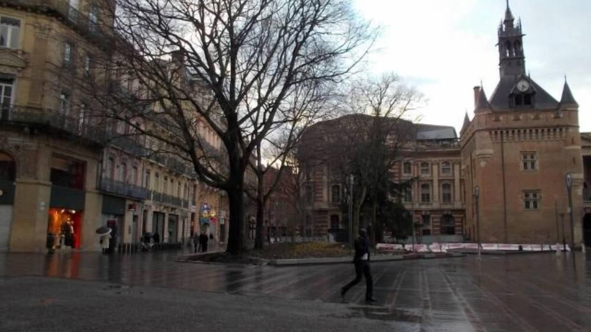Capitole Apartment | Charming apartment, very quiet, a stone's throw from the Capitole