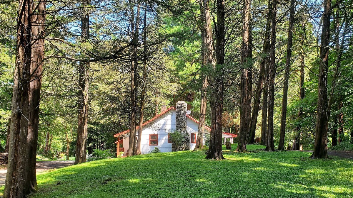 West Camp Cottage | Charming Artist's Retreat