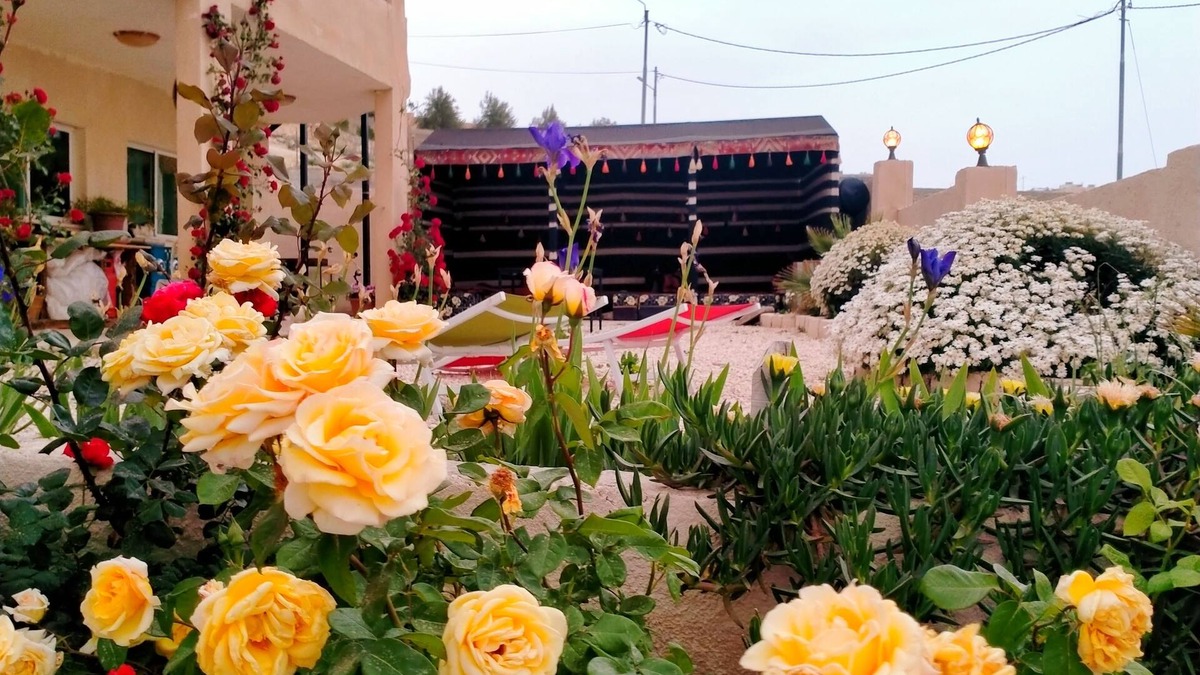 Wadi Musa Bed & Breakfast | Charming bed & breakfast in marvelous Wadi Musa with breakfast included