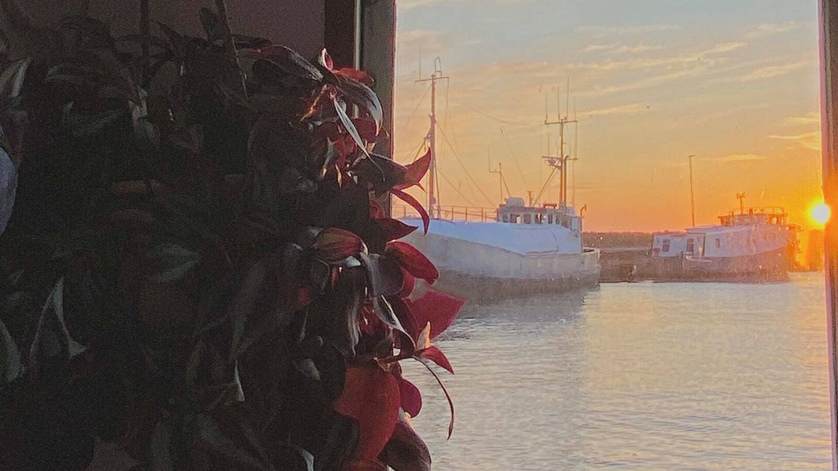 Hasle Boat Rental | Charming Boat Experience Bornholm