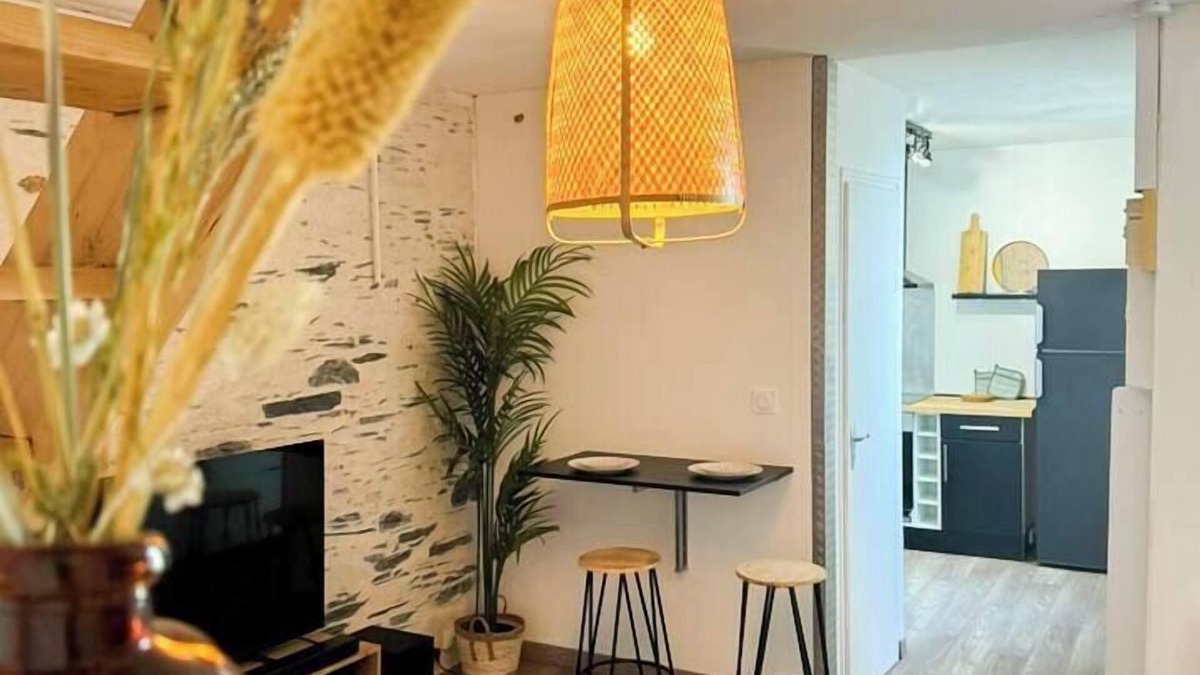 Downtown Angers Apartment | Charming Bright Duplex