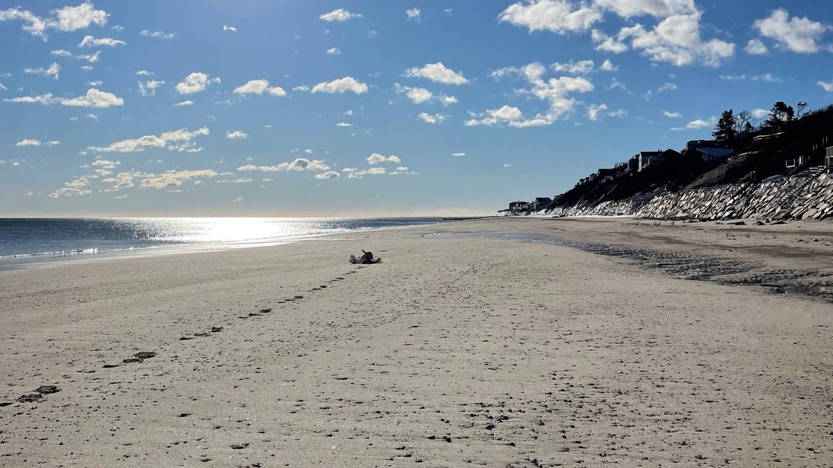 Cedar Bushes Cabin | Charming Cabin 500 feet to beach
