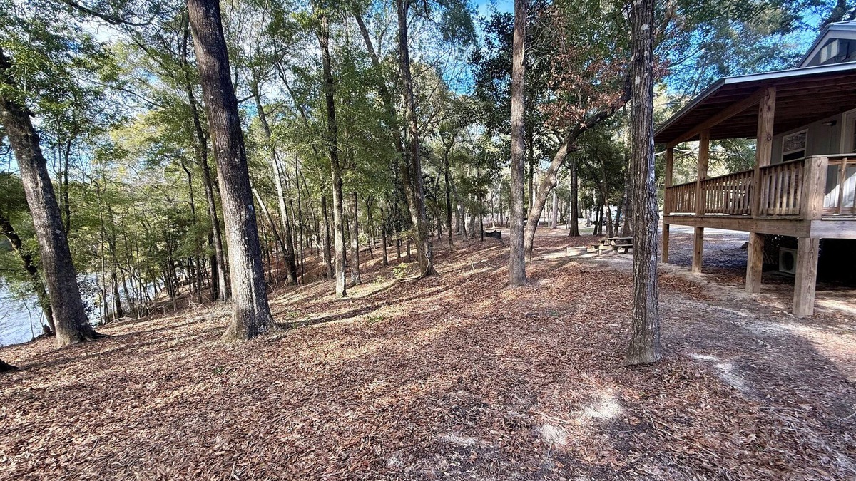 Andalusia Cabin | Charming cabin nestled in the woods in Andalusia, AL