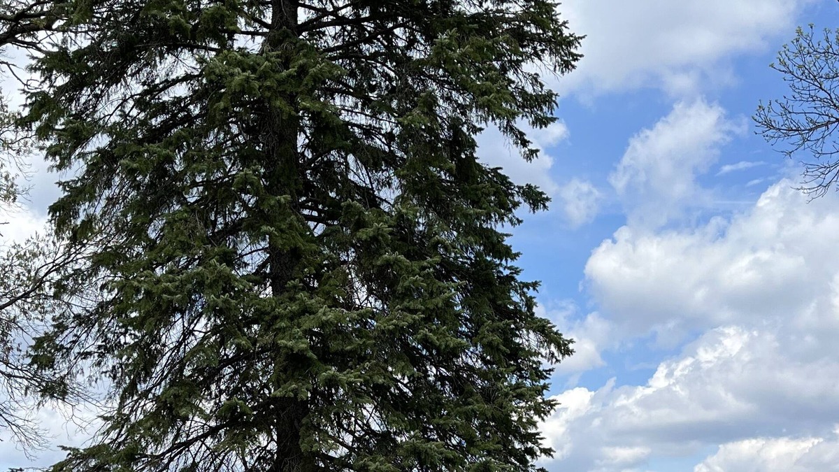 Big Lake Cabin | Charming Cabin On Eagle Lake - 1 hour from Cities
