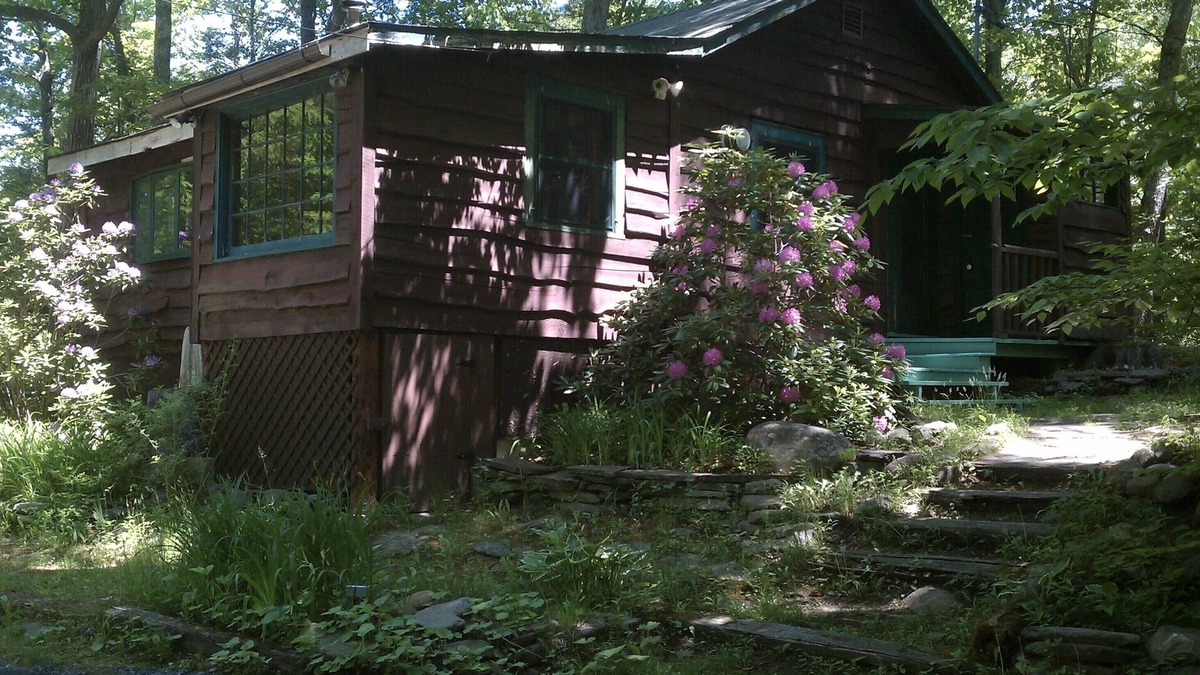 Willow Cabin | Charming Cabin With Rushing Stream In Backyard For Peaceful Retreat